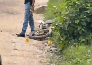 624b0af3-e4cf-4086-800a-7920646a73e5