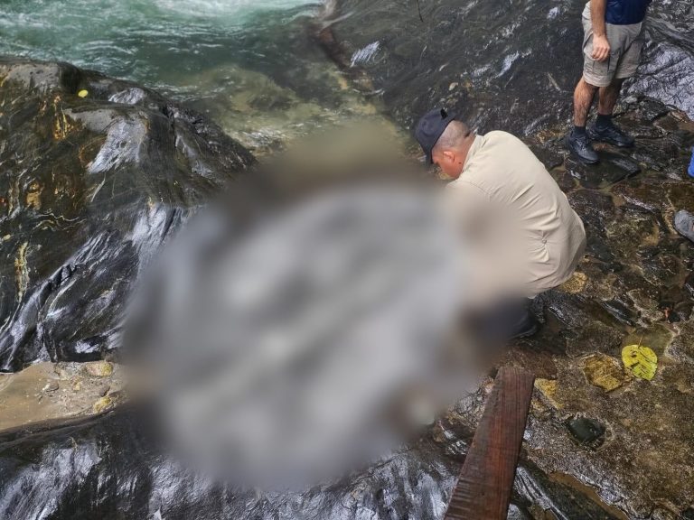 659797993_1459583682631016_4488219704026093212_n