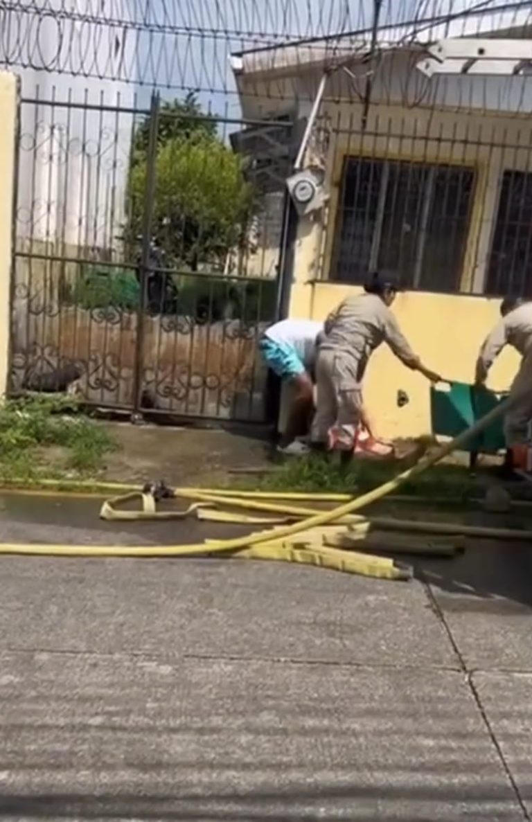 81902e80-c789-4311-a039-e355367a0a0b