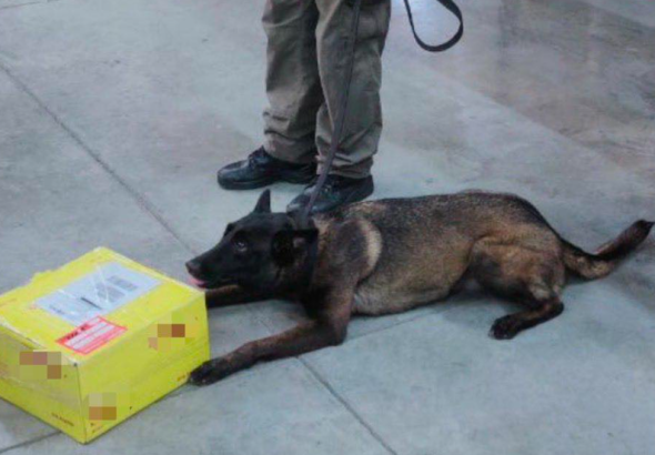 Captura de Pantalla 2026-03-09 a la(s) 14.42.02