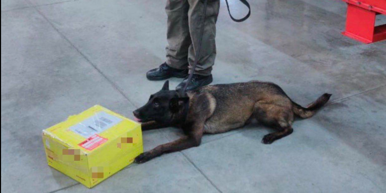 Captura de Pantalla 2026-03-09 a la(s) 14.42.02