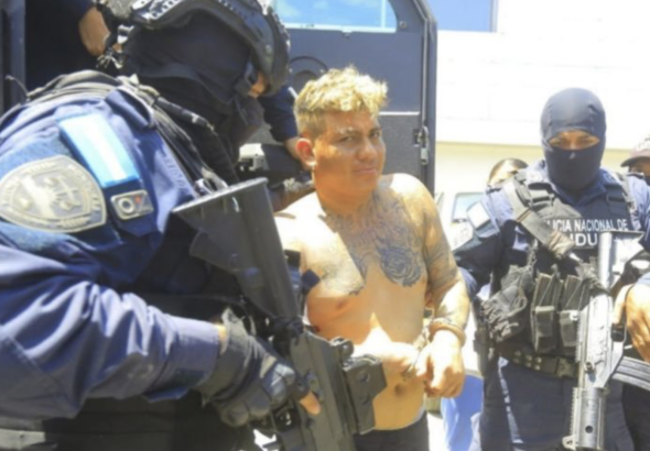 Captura de pantalla 2026-03-15 a la(s) 3.52.27 p. m.