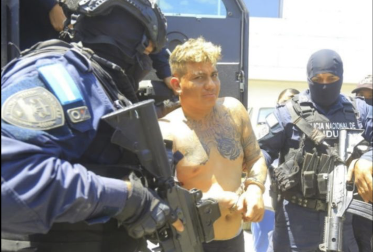 Captura de pantalla 2026-03-15 a la(s) 3.52.27 p. m.