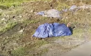 Captura de pantalla 2026-03-31 081707