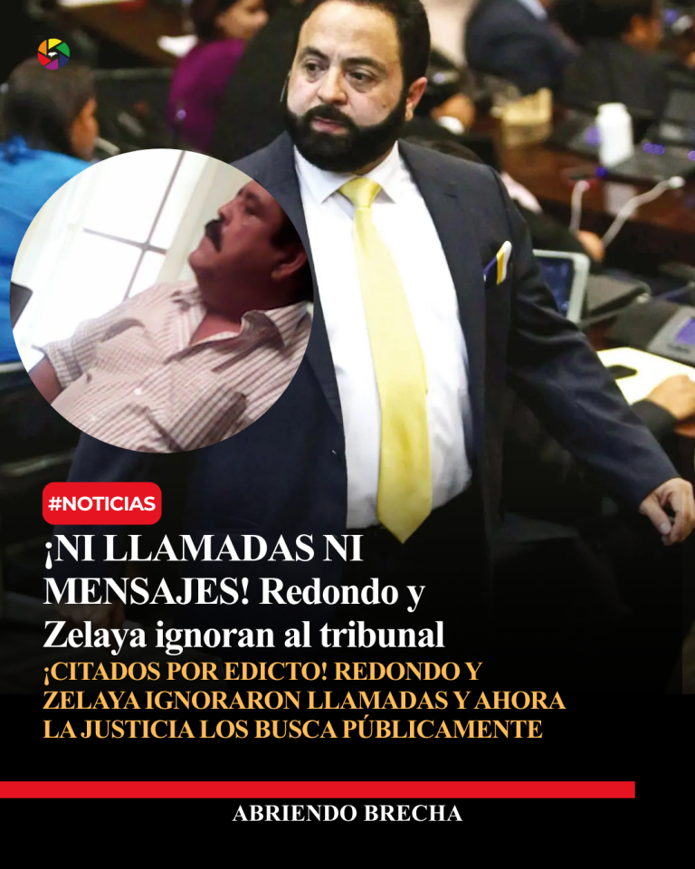 Copia de Copia de Copia de Copia de Copia de Copia de plantilla-12