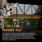 Copia de Copia de Copia de Copia de Copia de plantilla-31