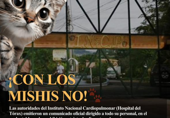 Copia de Copia de Copia de Copia de Copia de plantilla-31