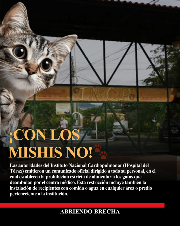 Copia de Copia de Copia de Copia de Copia de plantilla-31