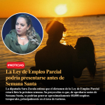 Copia de Copia de Copia de Copia de Copia de plantilla-59