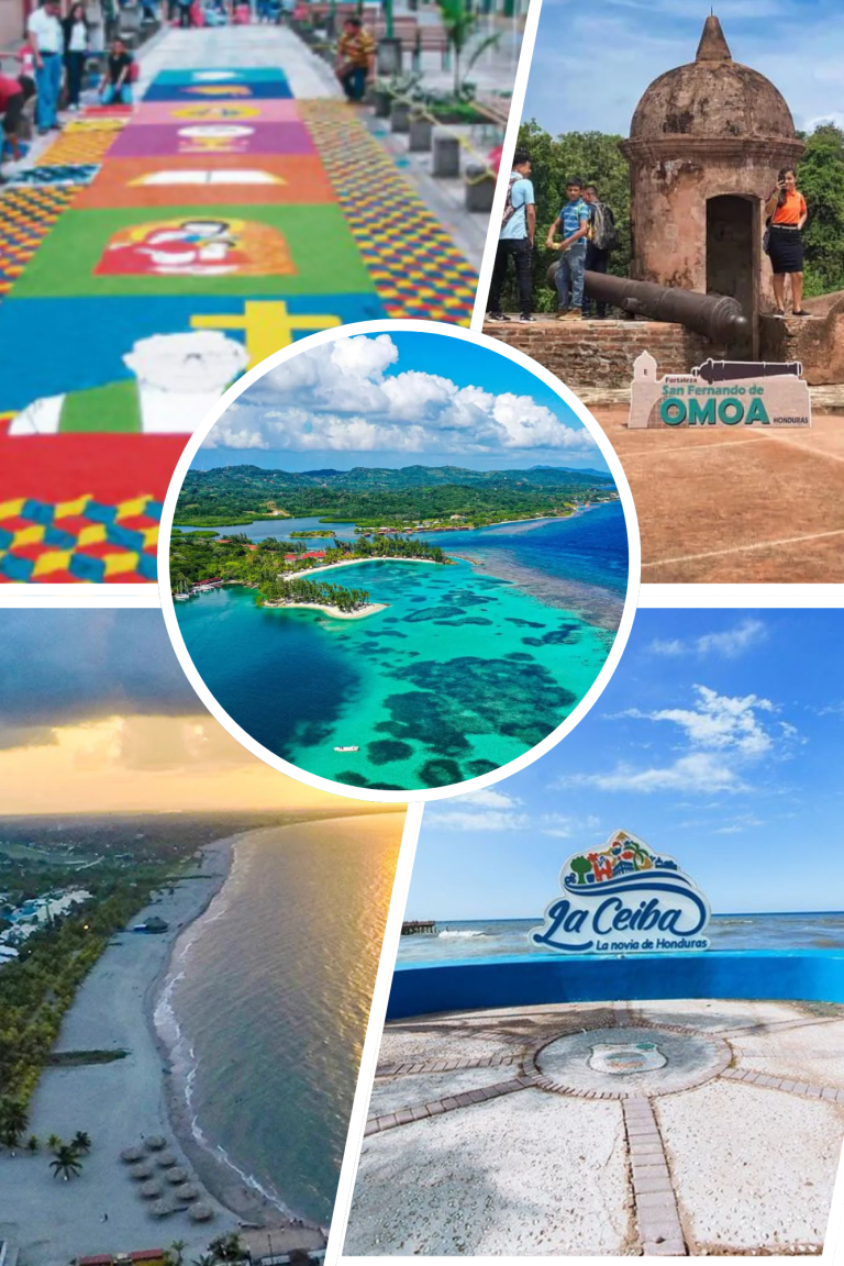 Diseño sin título (5)