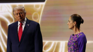 Screenshot 2026-03-13 194654