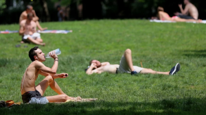 Screenshot 2026-03-19 183222