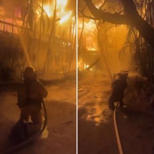 WhatsApp Image 2026-03-02 at 10.20.04 PM