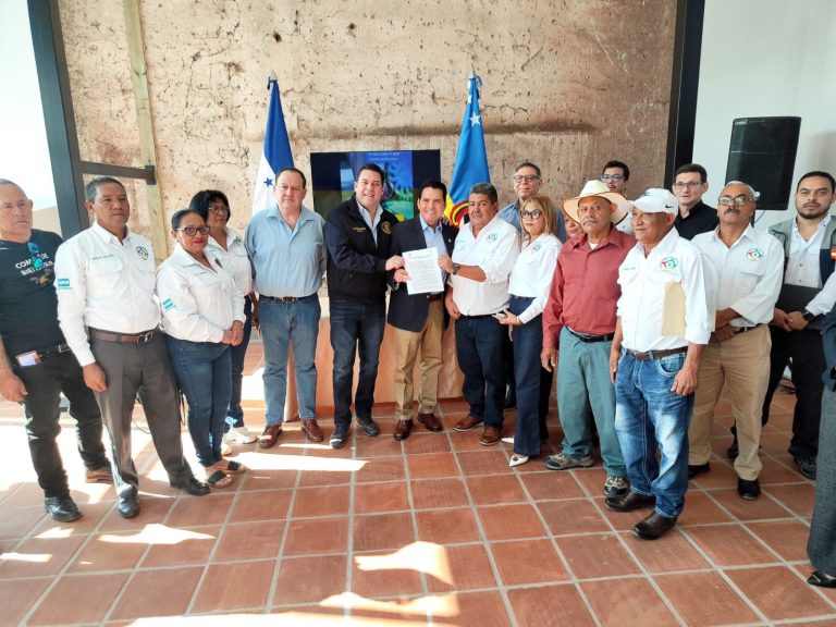 WhatsApp Image 2026-03-23 at 13.37.06