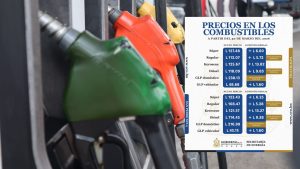 combustibles semana santa