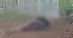 11832303040408783607