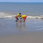 2026-HCH-NOTAS-JOSE-16-750x375