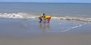 2026-HCH-NOTAS-JOSE-16-750x375