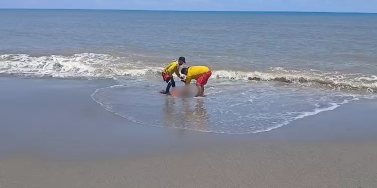 2026-HCH-NOTAS-JOSE-16-750x375