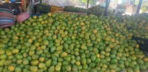 657390513_1354141426520316_5519834456075713346_n