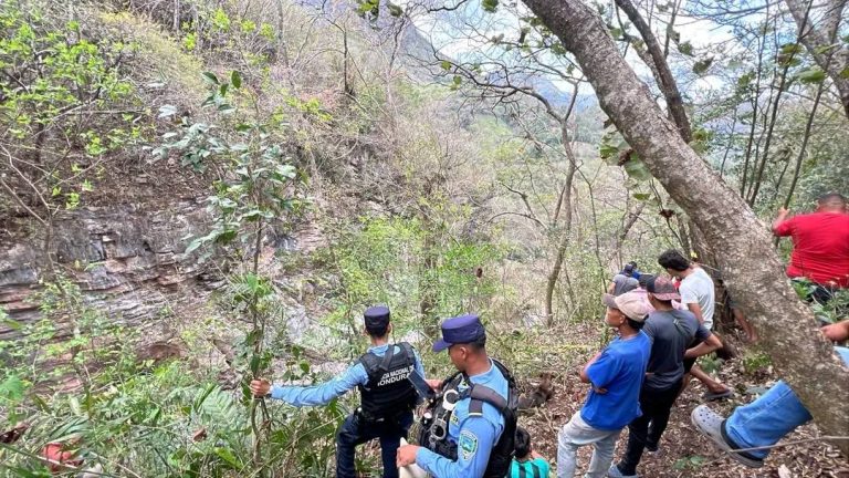 667422655_1494073215760793_4748202630363029075_n