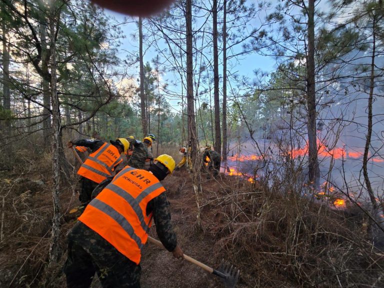 672352902_2474350782985206_1647564905428578104_n