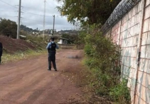 67f113e8-4a4b-4ca0-a6dd-06c83e89c148