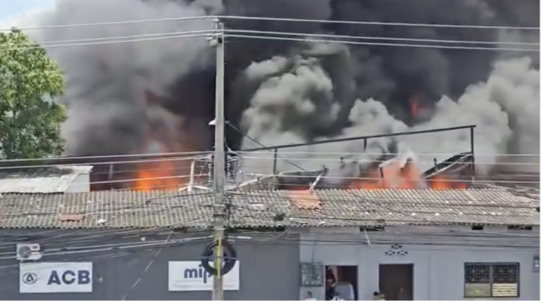 Captura de pantalla 2026-04-11 a la(s) 12.24.42 p. m.