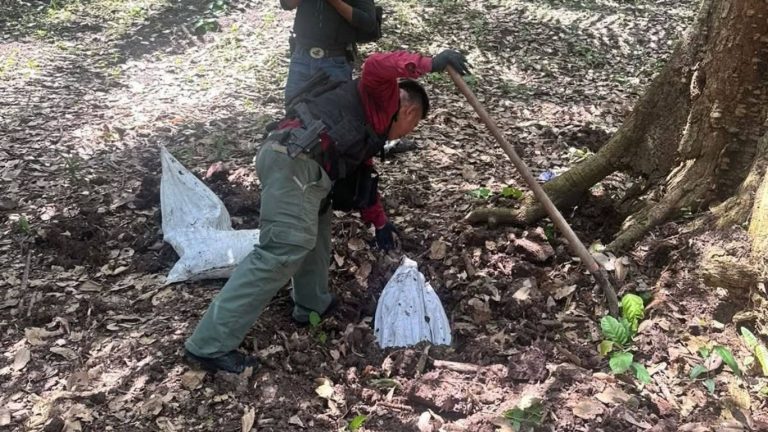 Copia de Diseño sin título (13)