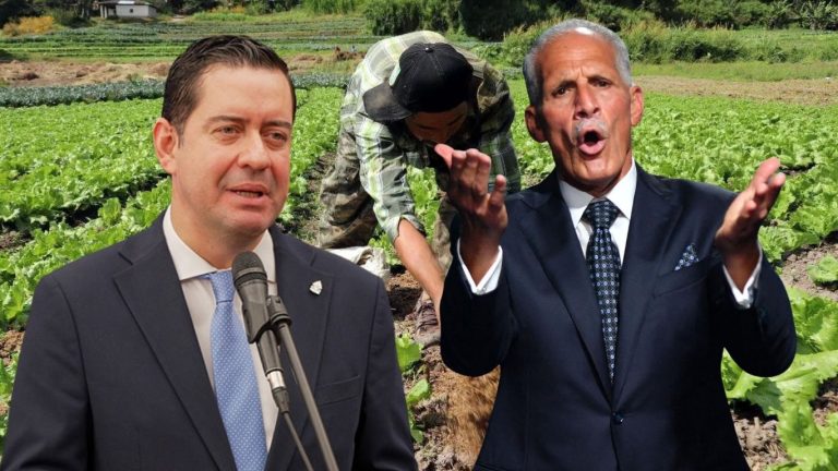 Copia de Diseño sin título (34)