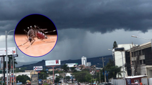 Diseño sin título (1)