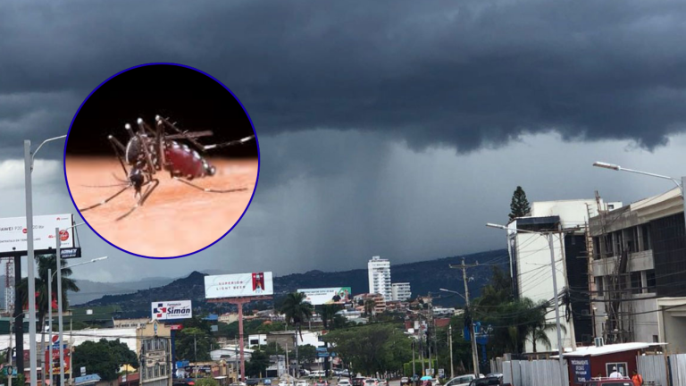 Diseño sin título (1)