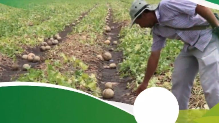 Diseño sin título (15)