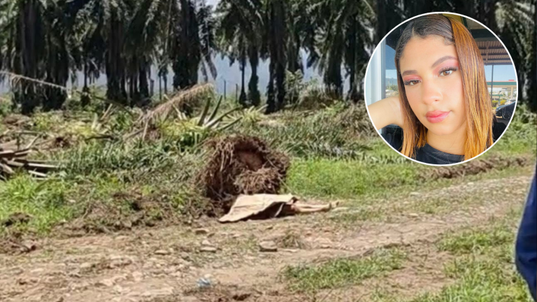 Diseño sin título (15)