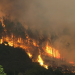 Diseño sin título (3)