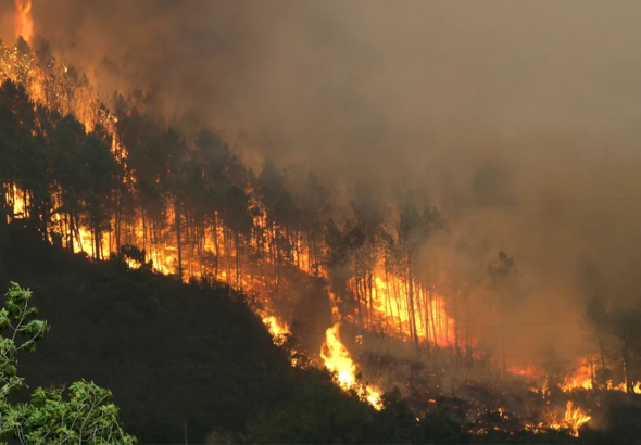 Diseño sin título (3)