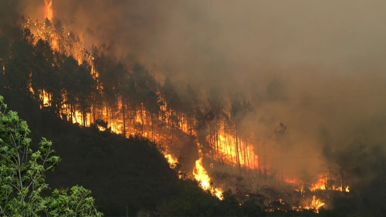 Diseño sin título (3)