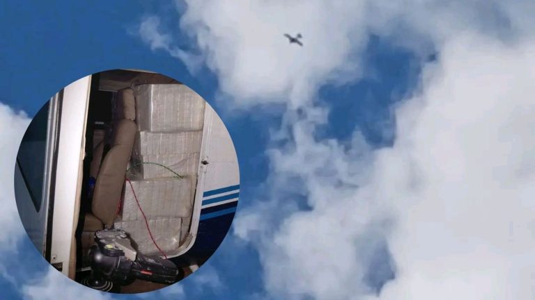 Diseño sin título (8)