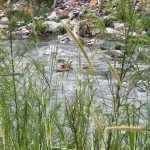 FDownloader.Net_AQNB0VDCQYDdZo6Fn9oAZzPber4Q4tJOhlKKqJdonxgHXYas7osCq8zMNPeD46g4yHg7HaIQWQu22y3wCqC0vzQwMy-r1Ipj02FHkYVpGFvwBQ_720p_(HD).00_00_50_14.Imagen fija001