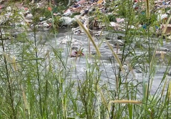 FDownloader.Net_AQNB0VDCQYDdZo6Fn9oAZzPber4Q4tJOhlKKqJdonxgHXYas7osCq8zMNPeD46g4yHg7HaIQWQu22y3wCqC0vzQwMy-r1Ipj02FHkYVpGFvwBQ_720p_(HD).00_00_50_14.Imagen fija001