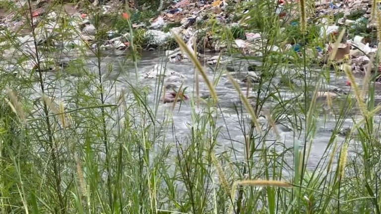 FDownloader.Net_AQNB0VDCQYDdZo6Fn9oAZzPber4Q4tJOhlKKqJdonxgHXYas7osCq8zMNPeD46g4yHg7HaIQWQu22y3wCqC0vzQwMy-r1Ipj02FHkYVpGFvwBQ_720p_(HD).00_00_50_14.Imagen fija001