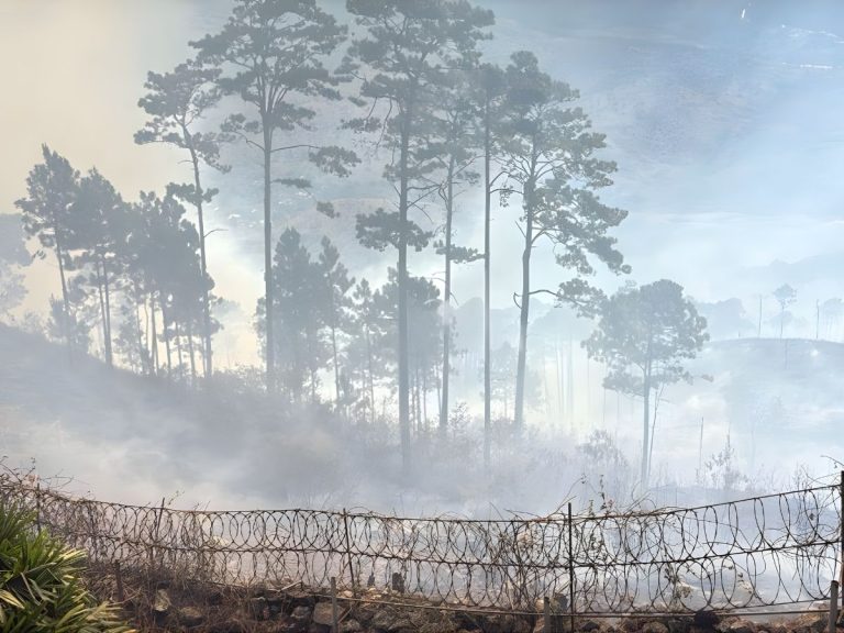 Incendio-en-el-Hatillo