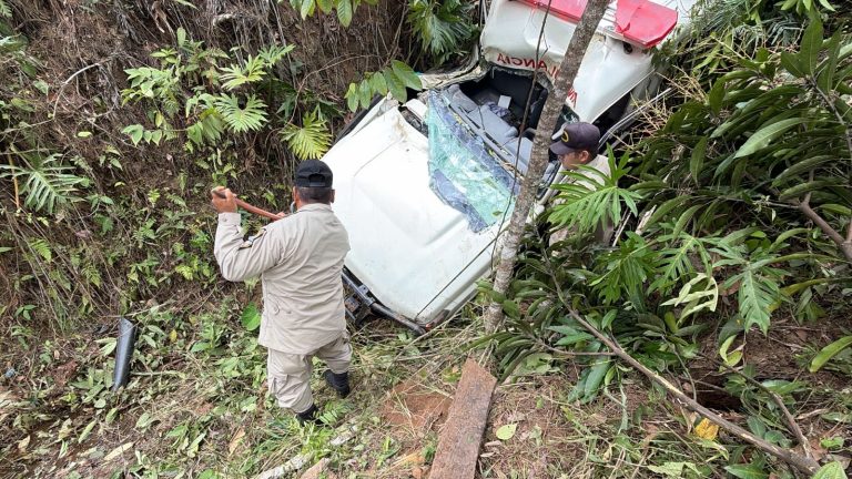 ba0a1ced-0660-4a6e-bc93-9ef361f955c3