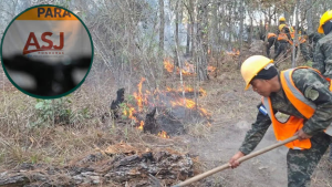 imagen web Maycol (10)