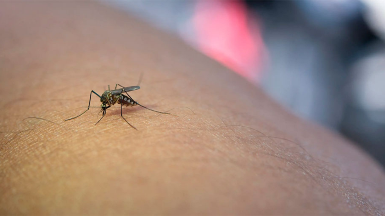 imagen web Maycol (11)