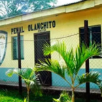 imagen web Maycol (15)