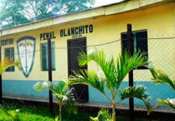 imagen web Maycol (15)