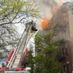 imagen web Maycol (16)