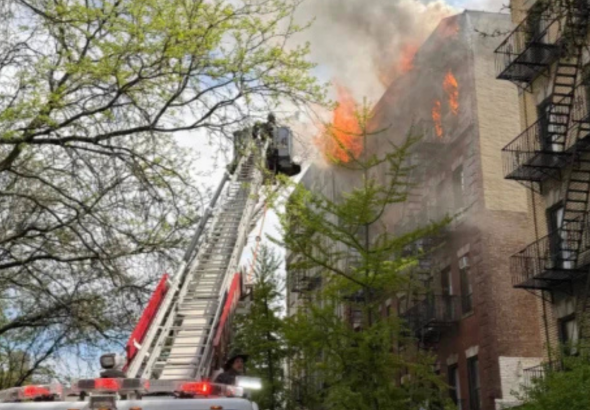 imagen web Maycol (16)