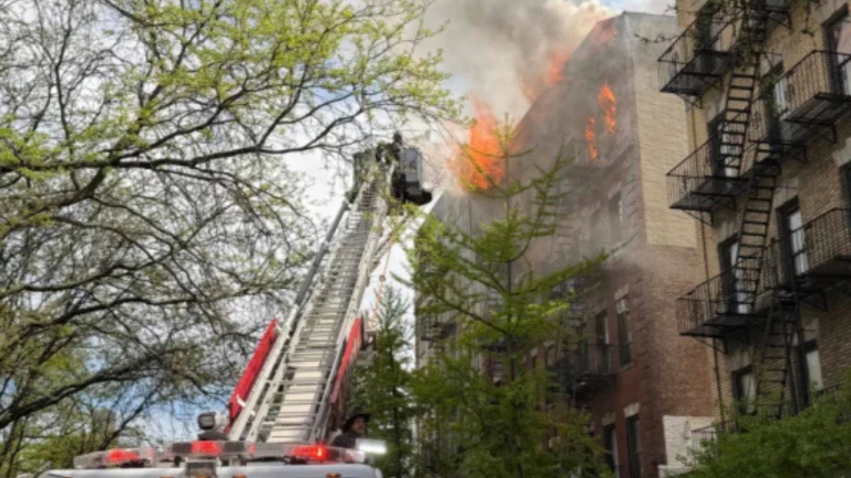 imagen web Maycol (16)